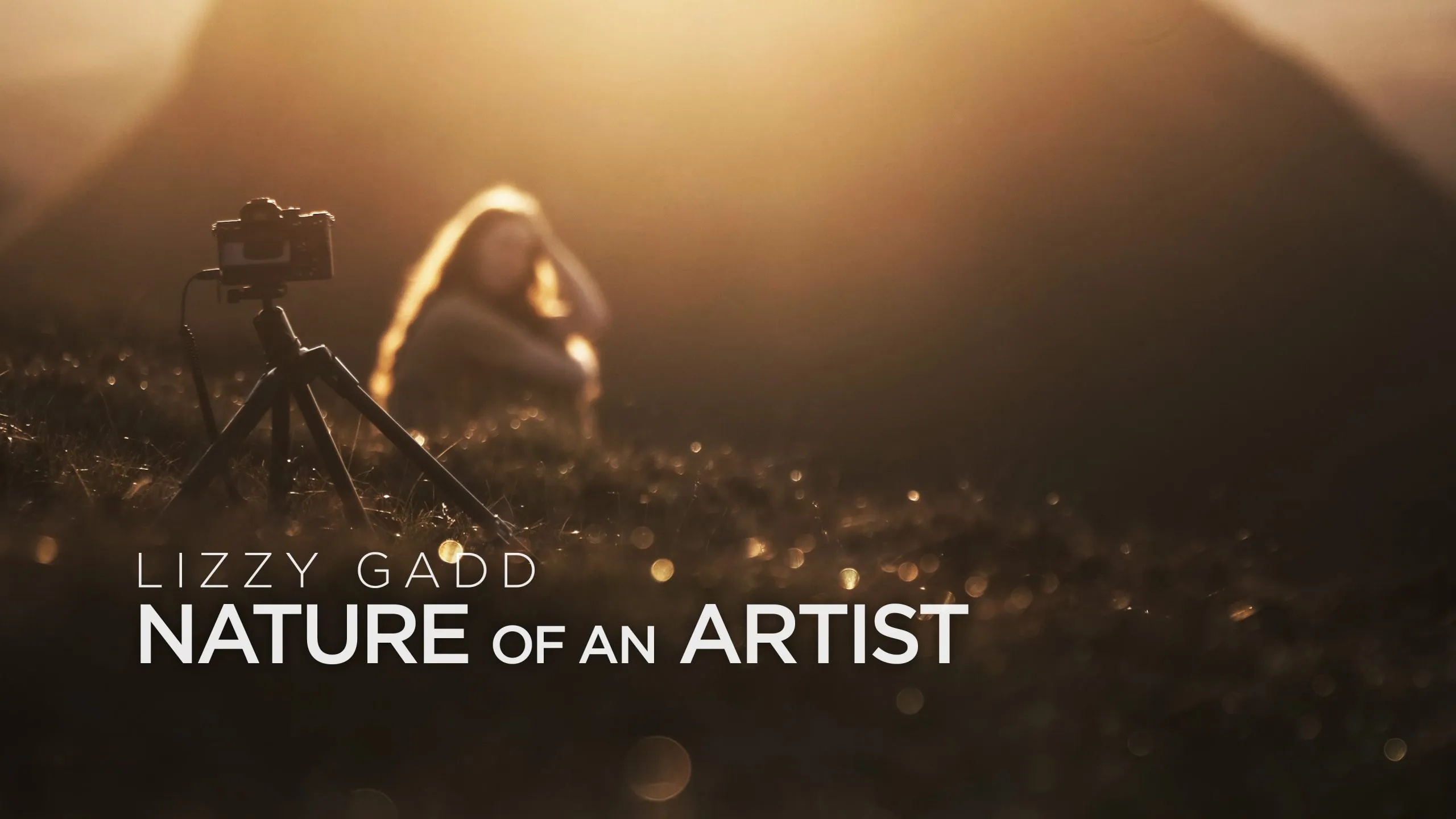Nature of an Artist